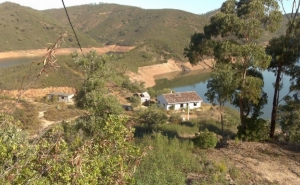 Investigado corte ilegal de sobreiros e azinheiras pela EDP na serra algarvia