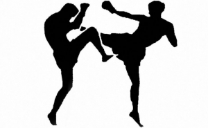 ALBUFEIRA ACOLHE CAMPEONATO NACIONAL DE KICKBOXING  