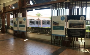 FORUM ALGARVE RECEBE EXPOSIÇÃO «UM MAR DE PLÁSTICO»