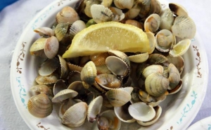 Berbigão volta a ser rei em Festival na Figueira