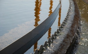 Concurso Público Internacional