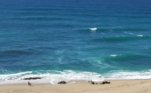 Comportamentos perigosos a evitar na praia e junto à costa