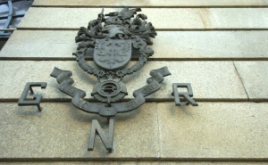 Apreendidos 31 quilos de droga e 480 plantas de cannabis em Tunes e Albufeira