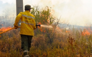 Autarquia de Castro Marim cria Equipa de Intervenção Florestal