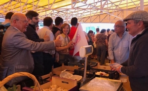 MARGARIDA MARQUES APRESENTOU PROJETO SOCIAL DEFENDIDO PELO PS NO ALGARVE