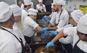 Escola de Hotelaria e Turismo do Algarve produz cogumelos biológicos 