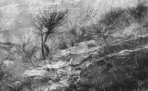 «A Memória dos Pássaros que Não Voam» | Inauguração dia 21 de março às 17h no CAC 