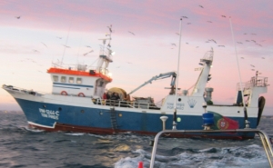 124 KG DE TAMBORIL APREENDIDOS EM PORTIMÃO