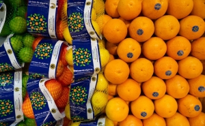 Citrinos do Algarve IGP levam sabor português ao mercado alemão