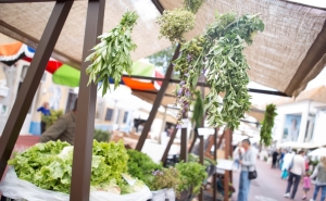 Lagoa Bio Market regressa já este sábado e com marchas populares