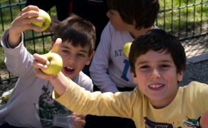 Estudo da APCOI revela que 42,6% das crianças em Portugal aumentou consumo de fruta  