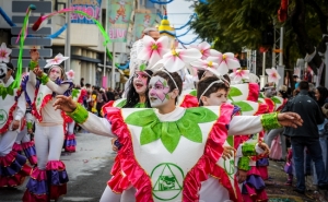 INSCRIÇÕES ABERTAS PARA GRUPOS DE ANIMAÇÃO DO CARNAVAL DE LOULÉ 2019