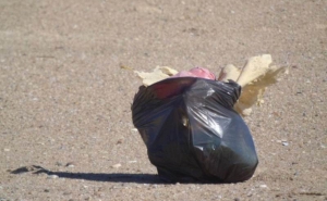 Duas toneladas de lixo recolhidas no Parque Natural da Ria Formosa