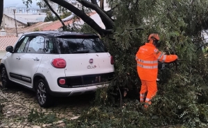 Depressão Kristin provoca mais de 250 ocorrências no concelho de Loulé