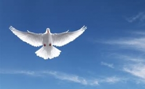 Morreu bebé que caiu de segundo andar em Lagos