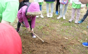 LOULÉ ASSINALOU DIA INTERNACIONAL DAS FLORESTAS COM AÇÕES DE PLANTAÇÃO E SENSIBILIZAÇÃO