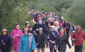 Município leva olhanenses  a marchar pelo Algarve
