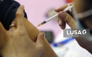 Covid-19: Nova plataforma quer «imunizar» a população contra a desinformação das vacinas