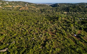 LOULÉ CLASSIFICA DUAS NOVAS ÁREAS PROTEGIDAS E PASSA A CONTAR COM 5 ÁREAS PROTEGIDAS DE ÂMBITO LOCAL NO CONCELHO