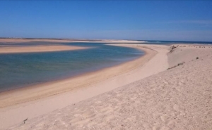 Associação ambientalista diz que qualidade das praias diminuiu este ano