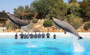 «INCENTIVO ALGARVE» AGRADECE AOS MELHORES AGENTES DE VIAGENS