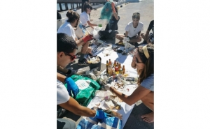 Praia de Faro: foi realizada limpeza de praia - Há mar e mar, Há usar e Recuperar