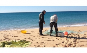 Polícia Marítima apreende arte de pesca com 80 metros na Praia de Faro