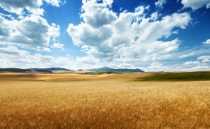 Terrenos agrícolas sem dono reconhecido vão integrar banco público