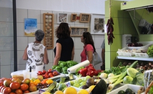 Mercado de Altura inaugurado