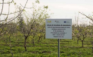 Feira da Dieta Mediterrânica proporciona visita às coleções de fruteiras