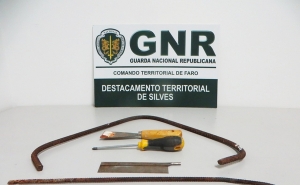 Lagoa - Detido por furto em residência