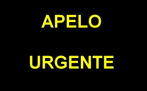 URGENTE | Pais desesperados apelam por ajuda a filho retido em Marraquexe (c/vídeo)