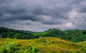 Cobranças das limpezas de terrenos passam para esfera do Fisco