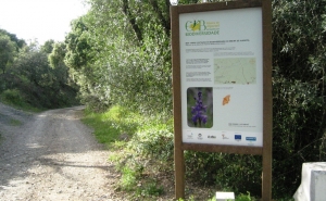 Ciclo de Passeios desvenda Estação da Biodiversidade 