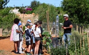 GEOBLITZ LEVOU ALUNOS DE ALBUFEIRA A LOCAIS DE INTERESSE INTEGRADOS NO GEOPARQUE ALGARVENSIS