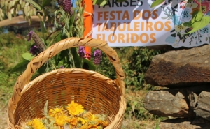 FESTA DOS TABULEIROS FLORIDOS VOLTA A ANIMAR A ALDEIA DE PARISES COM PROPOSTAS PARA TODA A FAMÍLIA