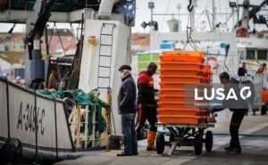 Governo aprova linha de crédito até 20 ME para setor da pesca e aquicultura