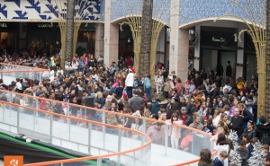 FORUM ALGARVE CONTRIBUI PARA A REFLORESTAÇÃO DE 25 HECTARES DE ÁREA ARDIDA NA SERRA DE MONCHIQUE