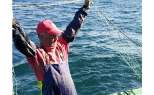 Pesca comercial pode reduzir diferenciação genética em espécies de peixes marinhos 