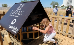 Freguesia de Quarteira instala primeiros abrigos para gatos de rua e estabelece protocolo para esterilização desses animais