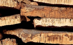 Workshop de Bonecas em Cortiça