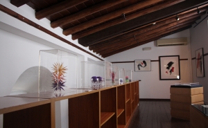 Biblioteca Municipal de Alcoutim acolhe exposição de artes plásticas