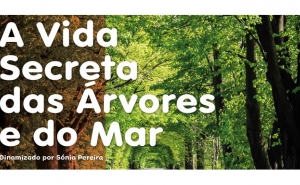 «A vida secreta das árvores e do mar»: clube de leitura