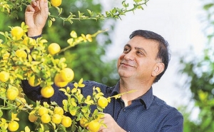 Seminários em Hortofruticultura - Dr. Tahir Khurshid - Agriculture NSW (New South Wales)