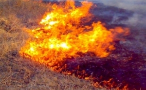 Lagos, Vila do Bispo e Aljezur vão criar «ponto estratégico» para combater fogos rurais