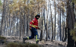 Proteção Civil lança aviso à população devido ao calor e risco de incêndio