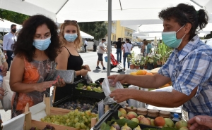 Mercado de produtores de Almancil arrancou com forte adesão