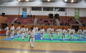 Loulé recebeu Estágio Comemorativo dos 40 anos de Karate 