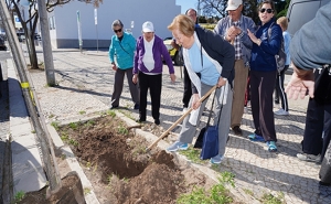 Lagos assinala Dia da Árvore