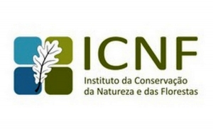 ICNF autoriza conduta ao longo de mata protegida em Vila Real de Santo António